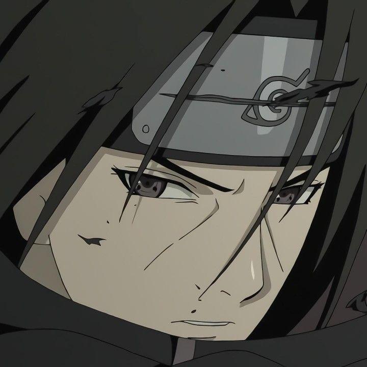 bottego avatar