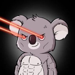 Pina_Koala avatar