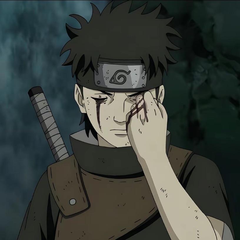 -shisu1 avatar