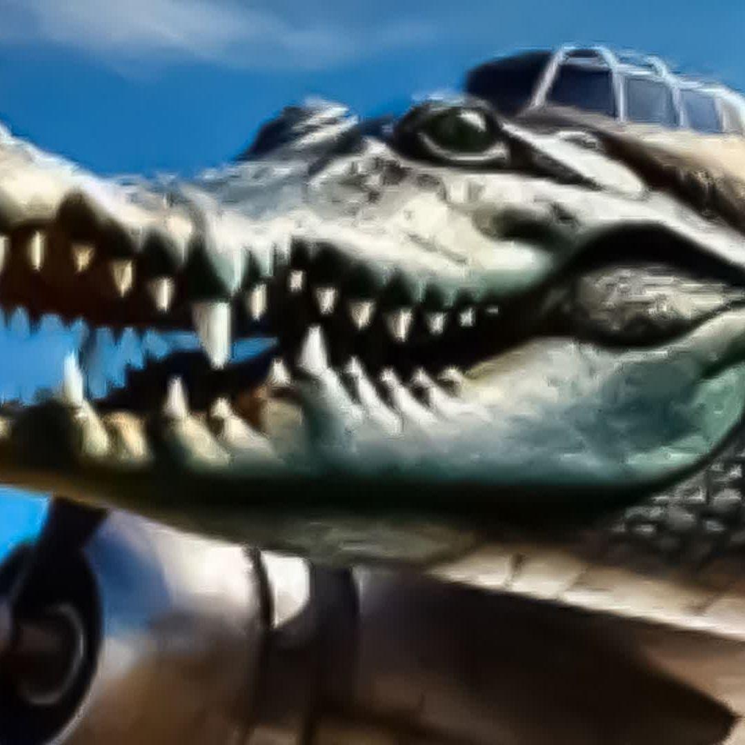 Cr0codilo avatar