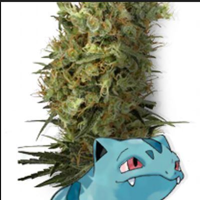 BULBASAUR4