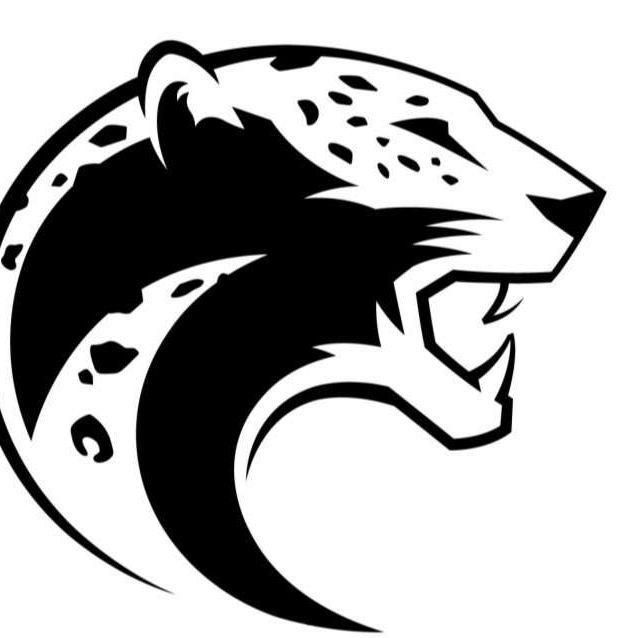 Kazakhtigr avatar