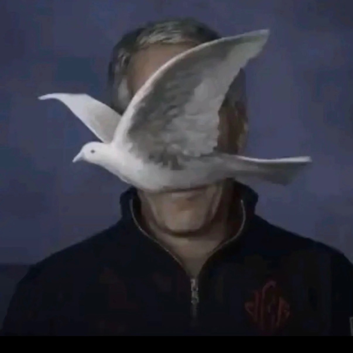 imranerr FACEIT avatar