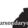 SURXONDARYO