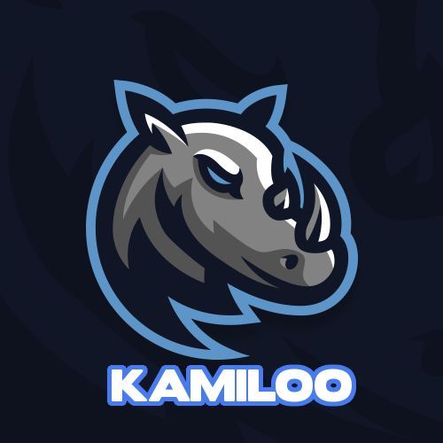 Kamiloo13 FACEIT avatar
