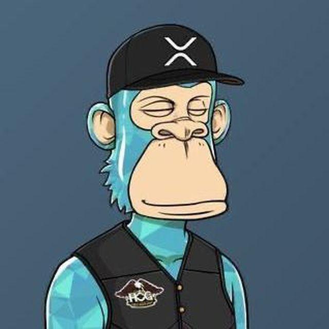 Arhitectorr avatar