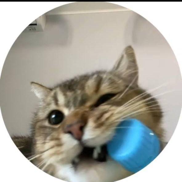 bellikk avatar