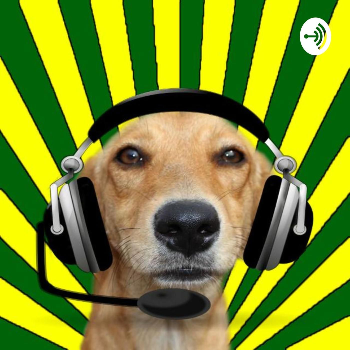 loko_cachorr