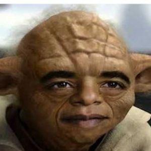 BOTsamo avatar
