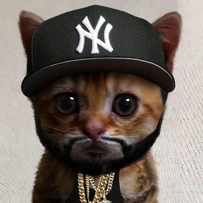 BarniBOY avatar