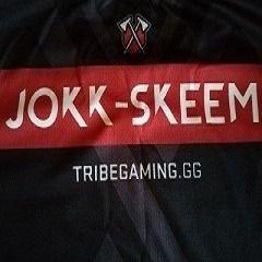 Player JOKK-SKEEM avatar