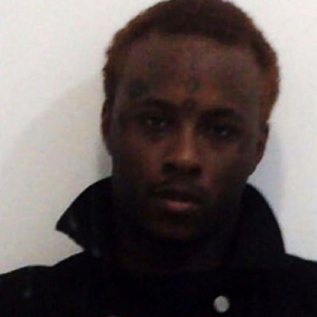 paindealer avatar