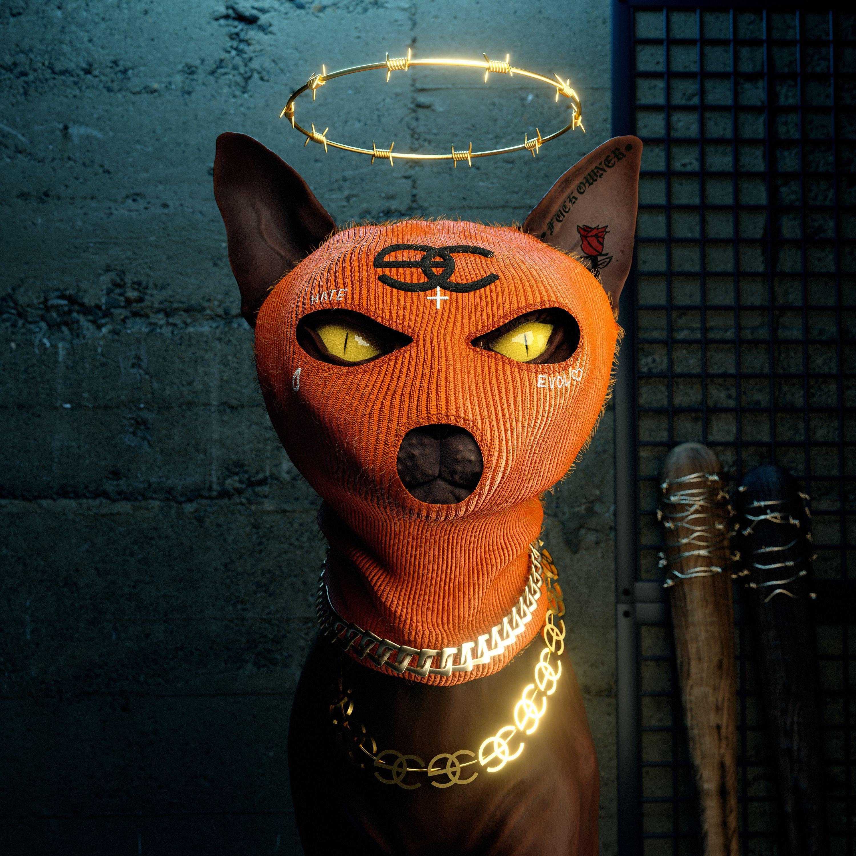 -no1ik avatar