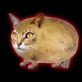 Puryak avatar