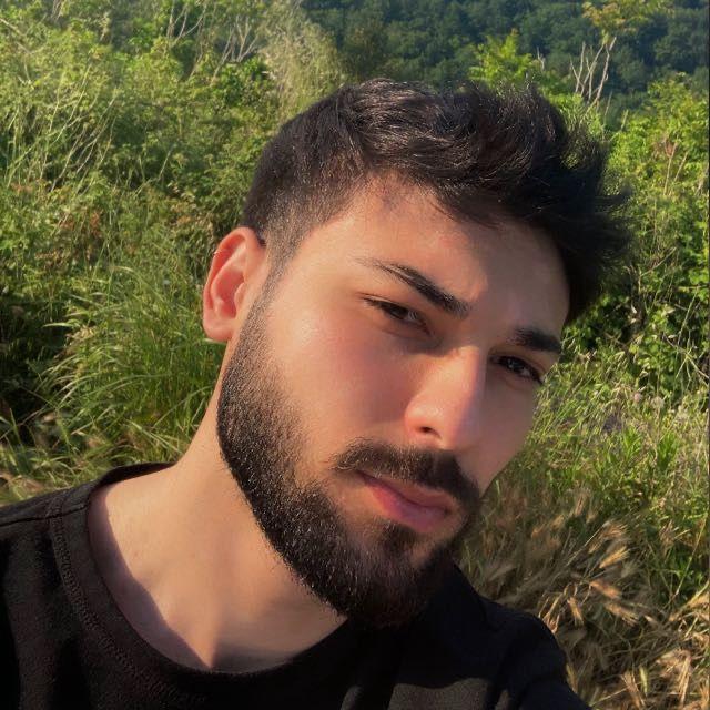 inflames_v1 avatar