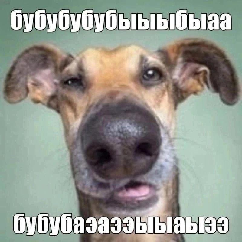 griva4 avatar