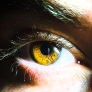 0xSensei avatar