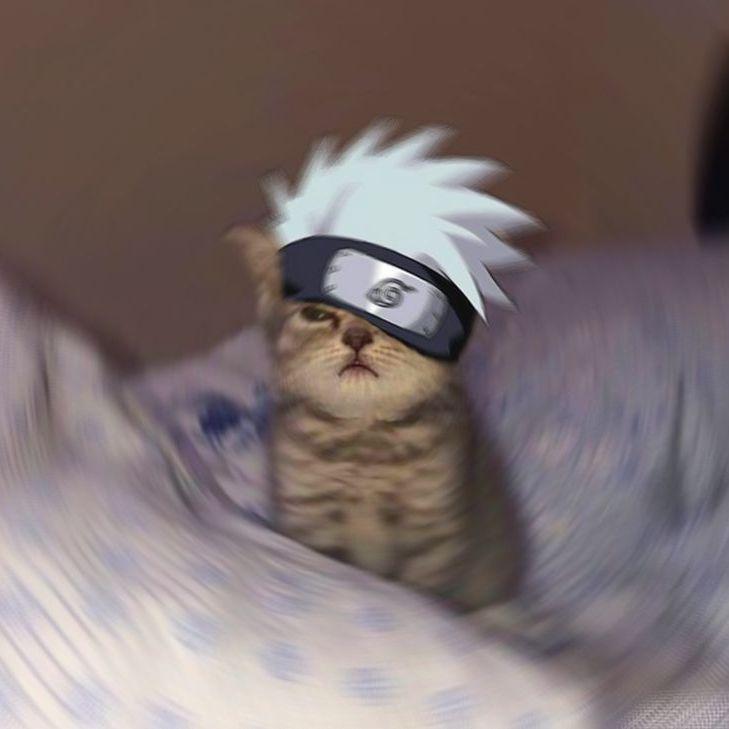 MRNNNNNNN avatar