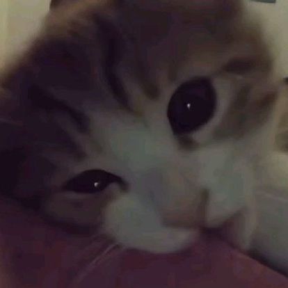 qej