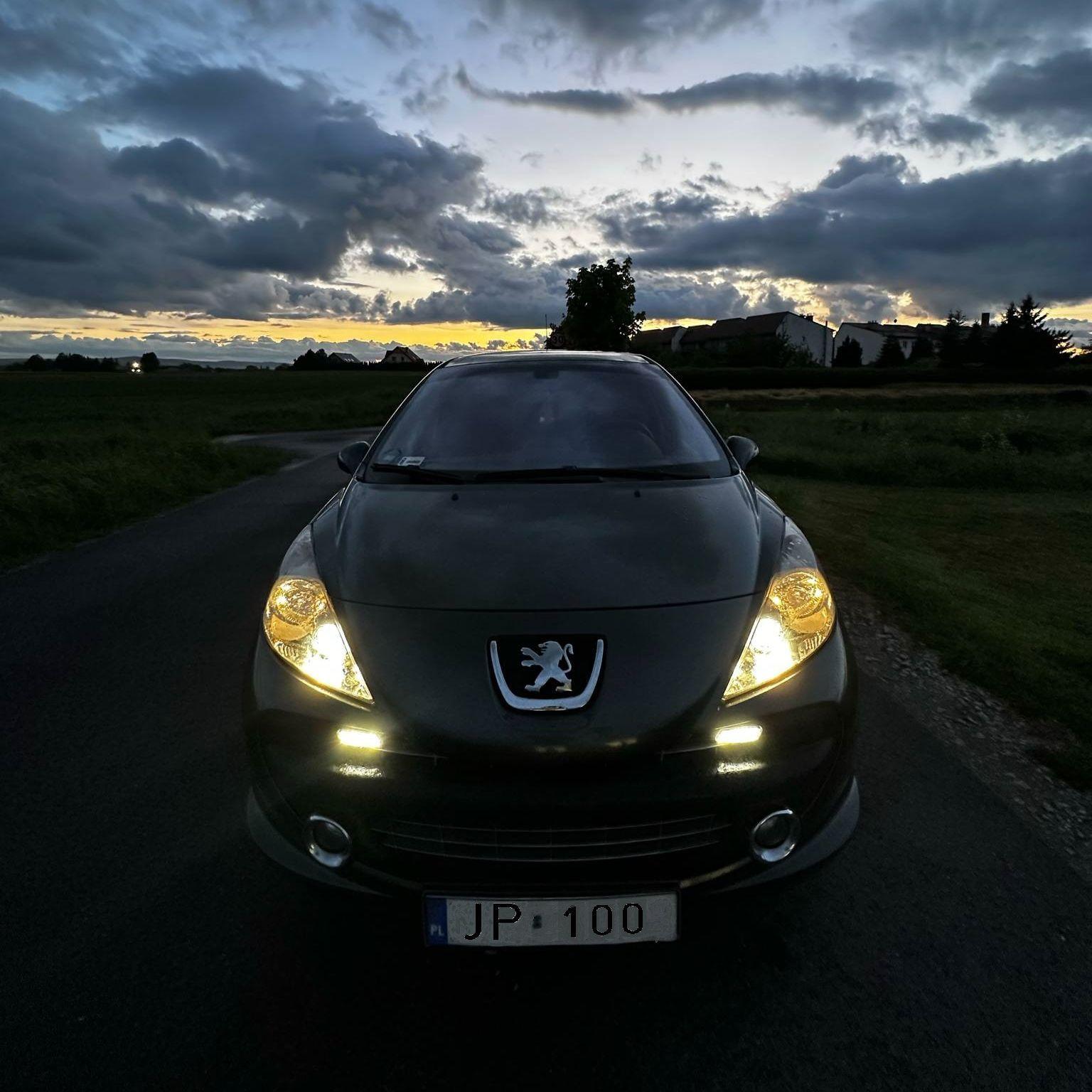 Peugeot207_ avatar