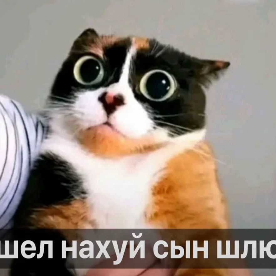 kaidam-_-
