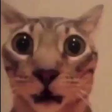 CyriX_9
