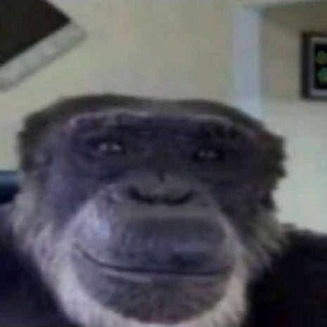 derkl1n