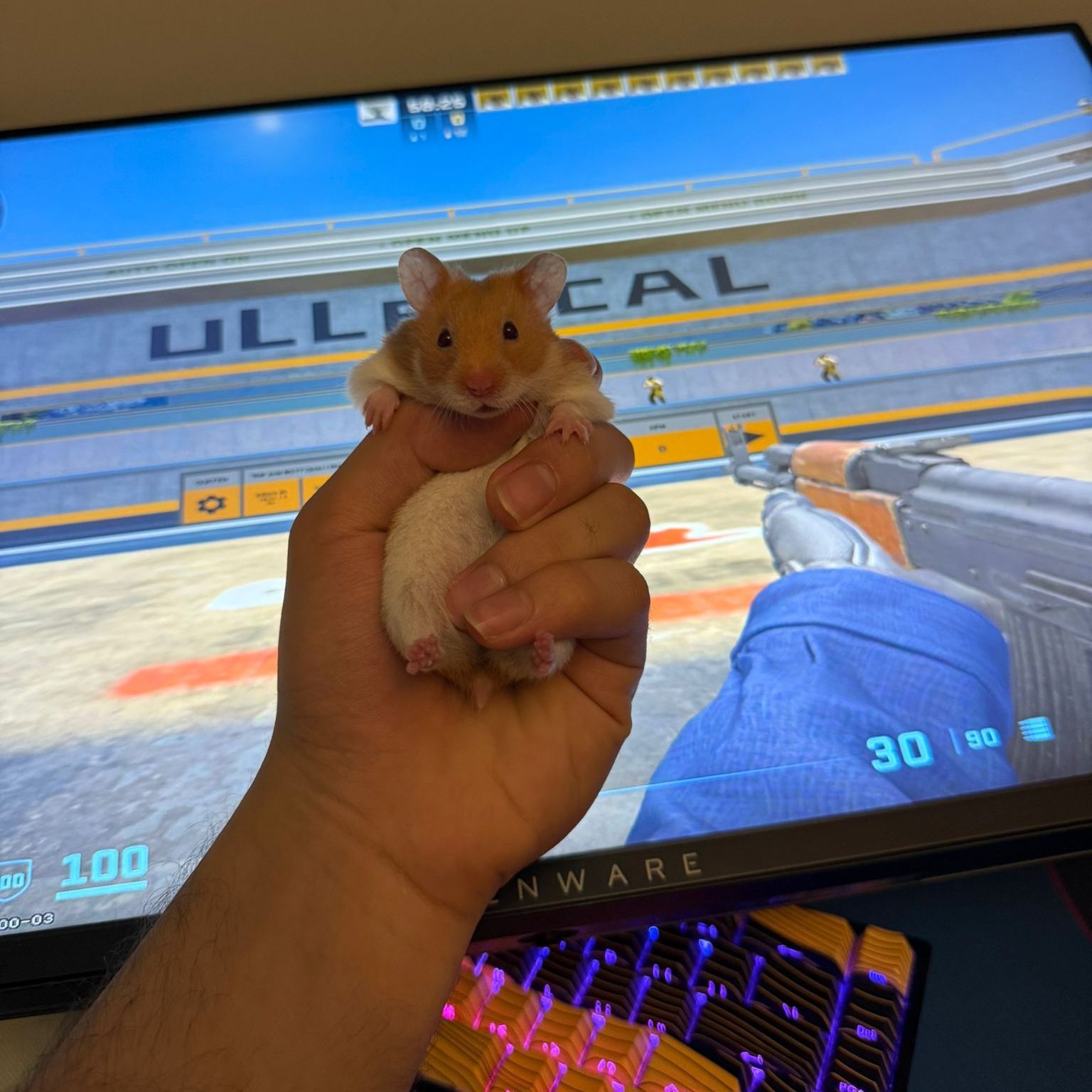 enma2K