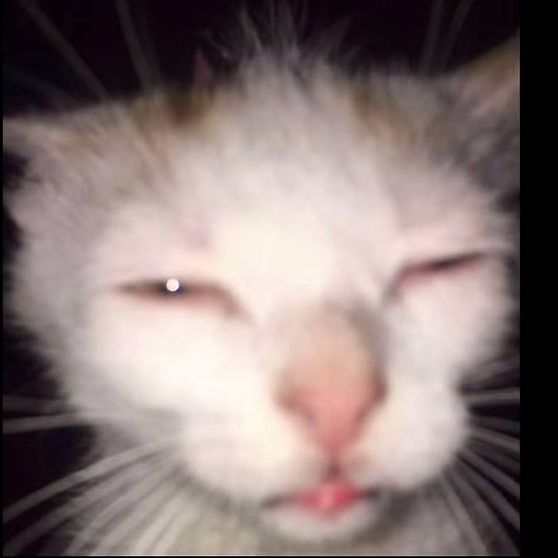 Wend1g0