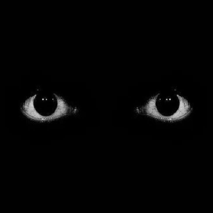 2wjiwq avatar