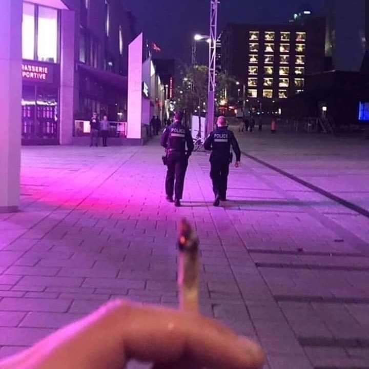 iDGAF-