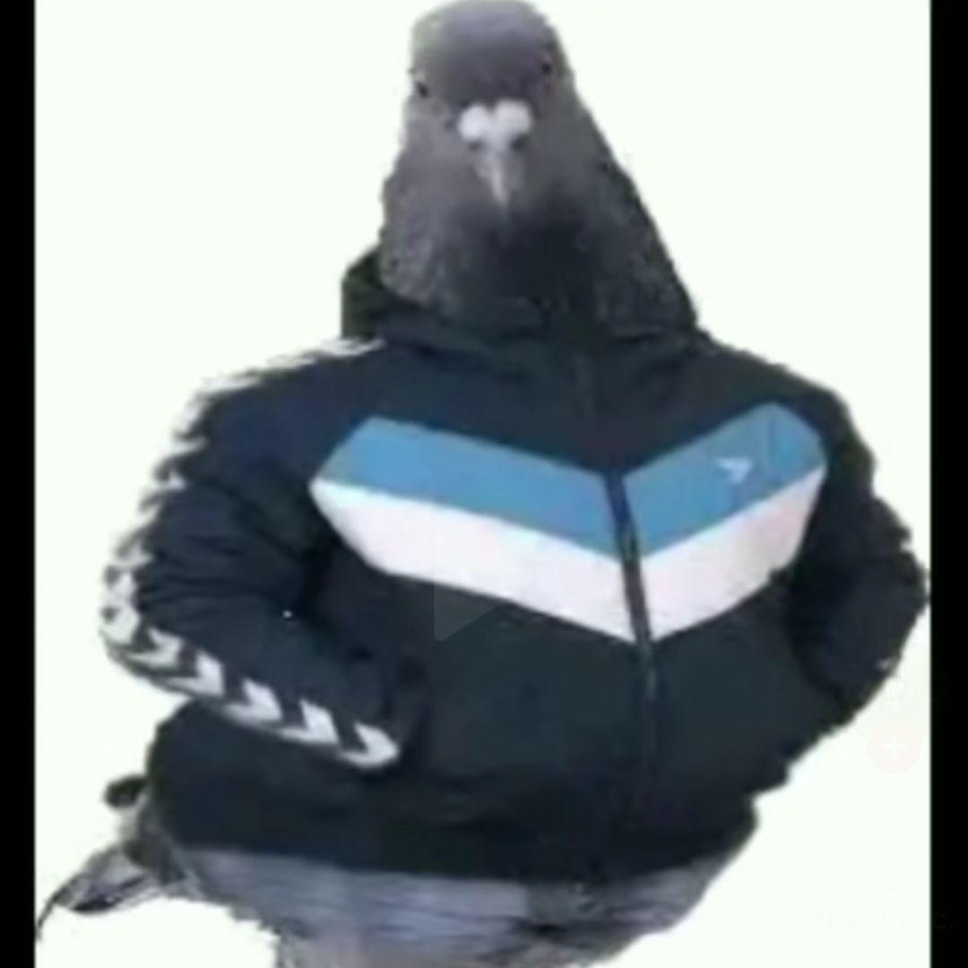 VAEP_OFF avatar