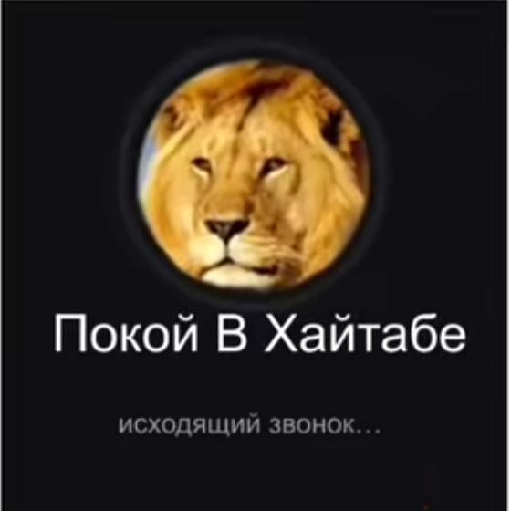 _bradok_ avatar