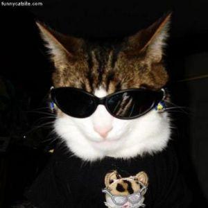 NLAW_ avatar