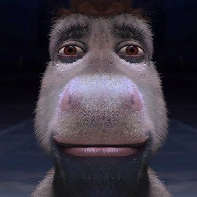 WerFors FACEIT avatar