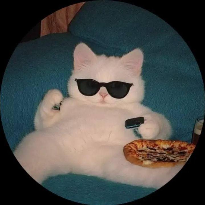 -kxmq avatar