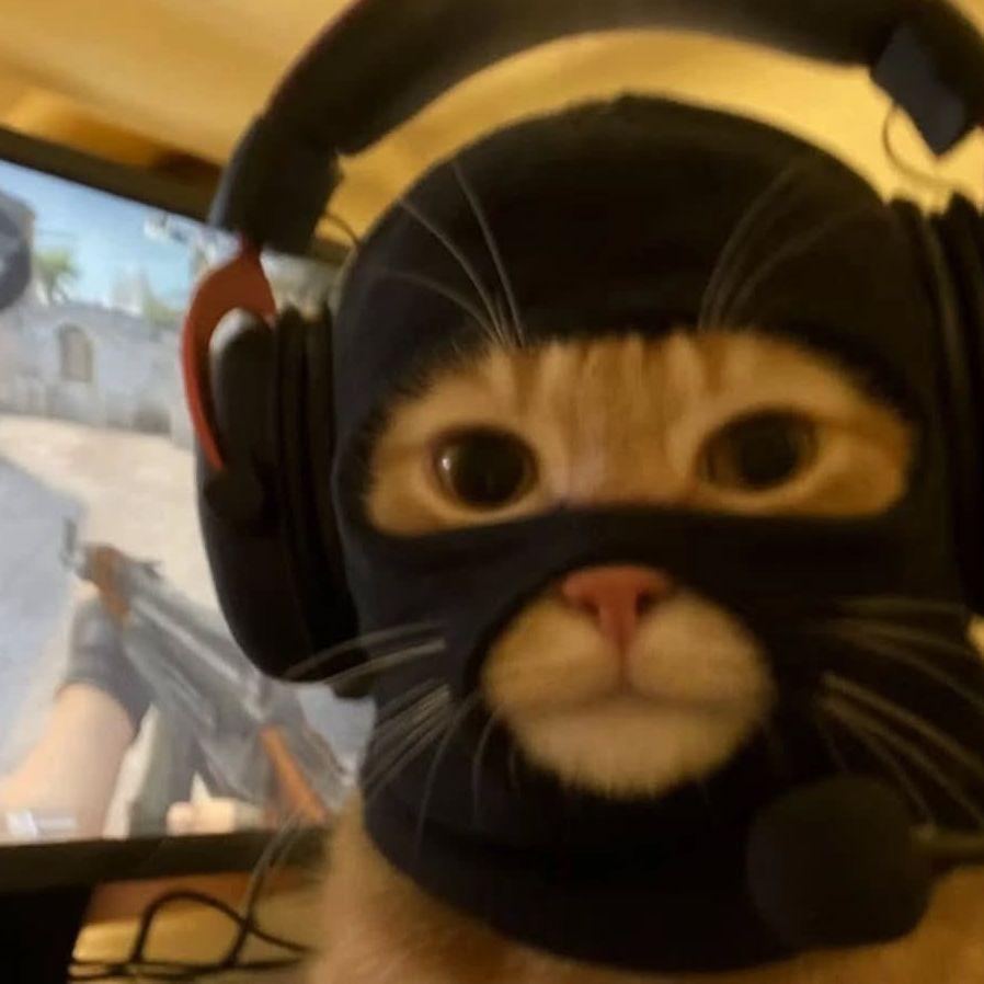 kocja avatar
