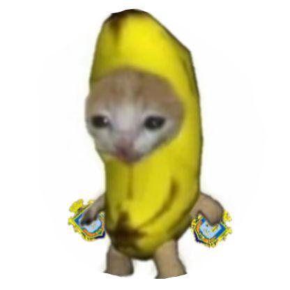 Monais avatar
