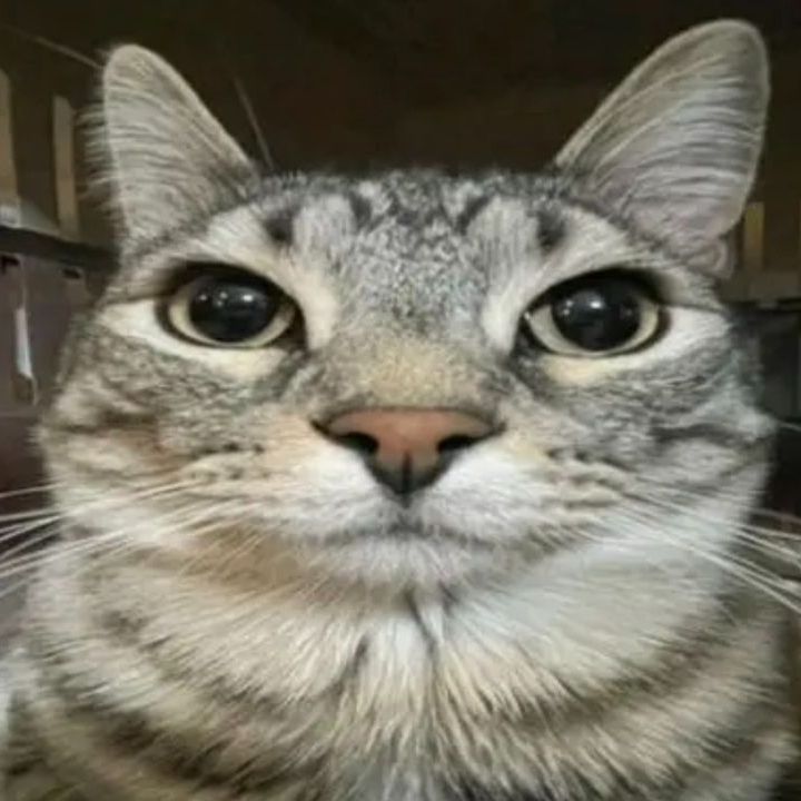 adcjyhg