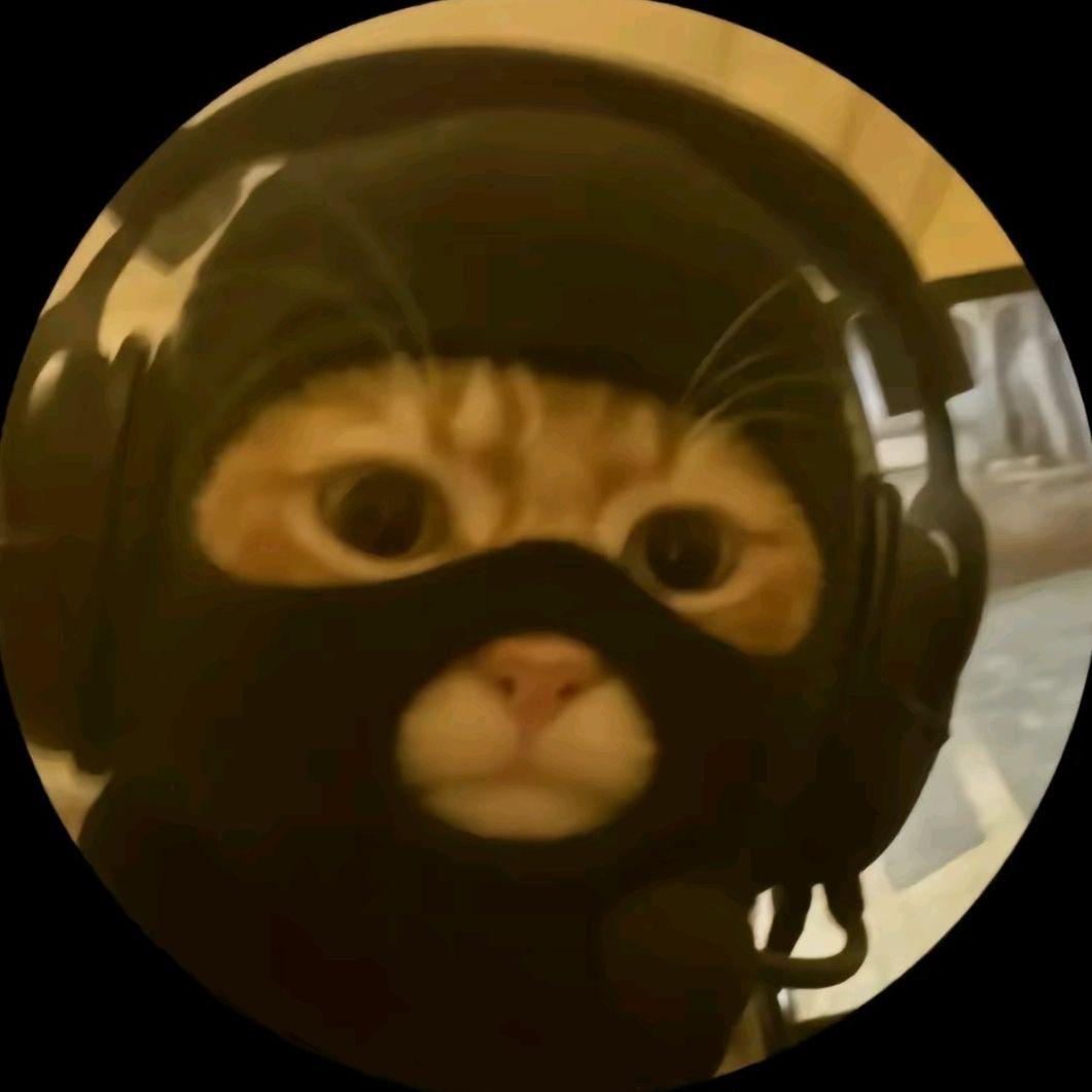 Hammasharja- avatar