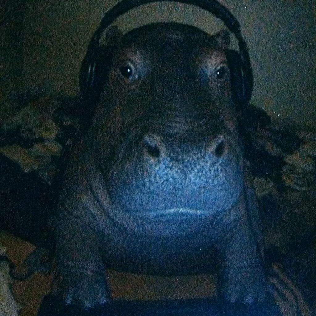 Faceit Avatar