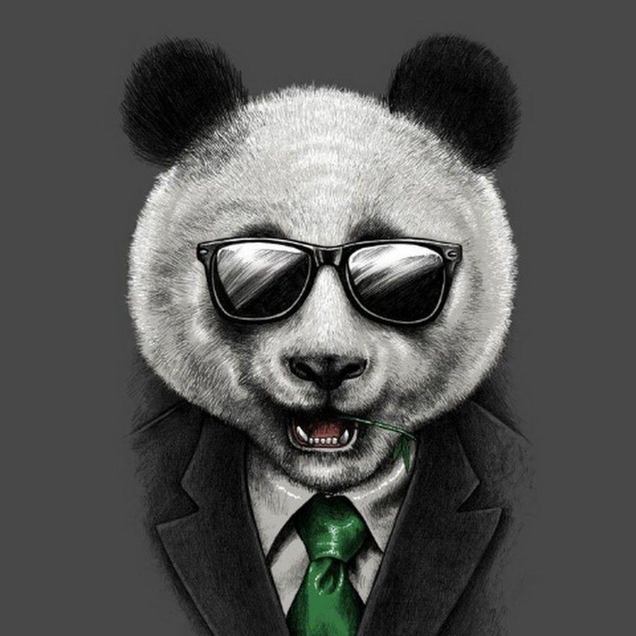bo_obcat avatar