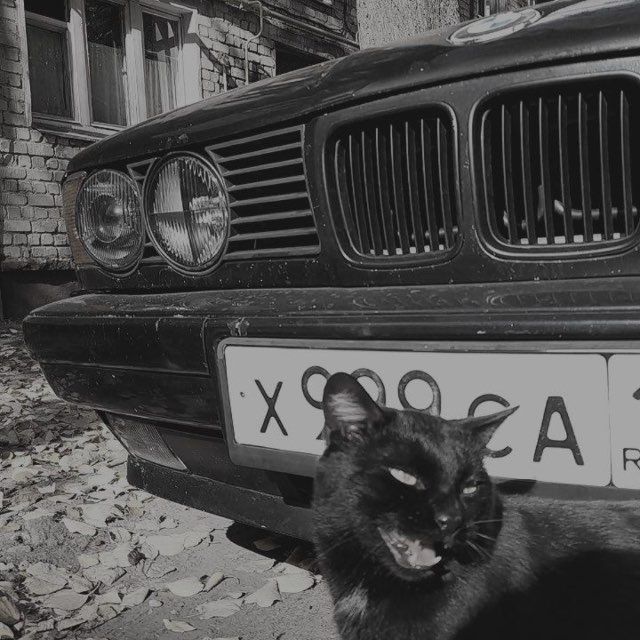 -zhargon