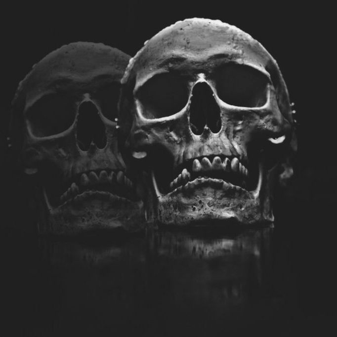 BotRoque666