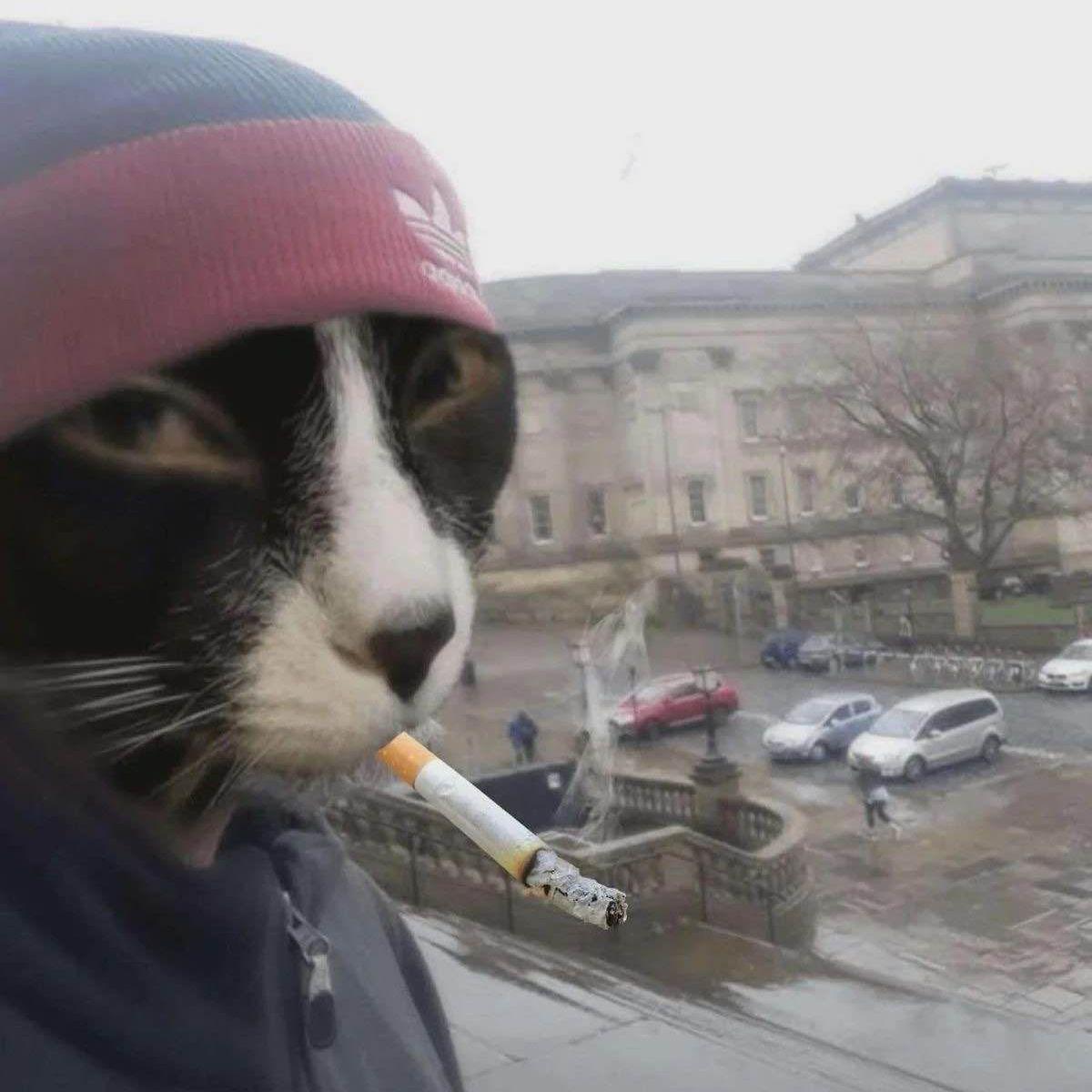 boamber avatar