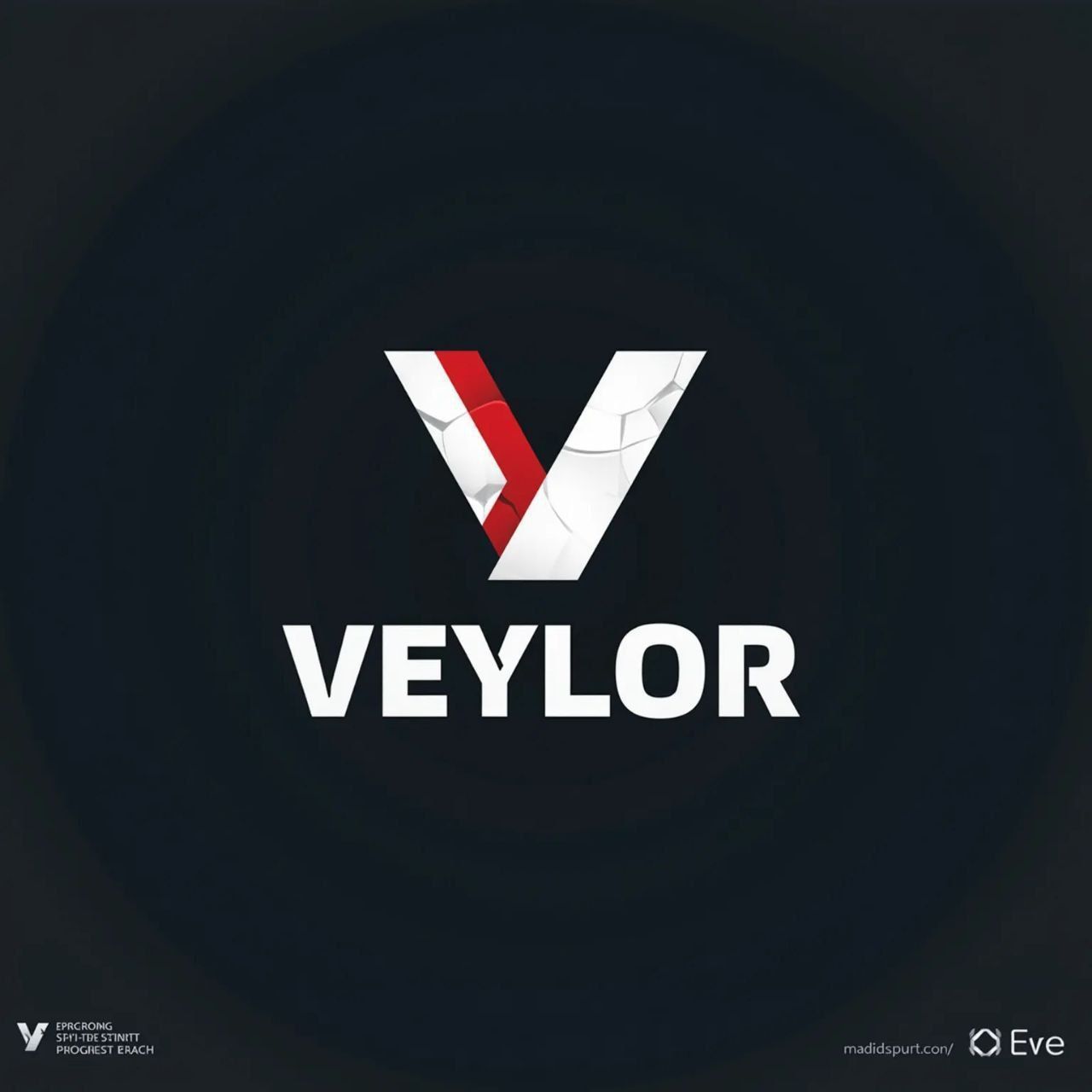 Veylor team