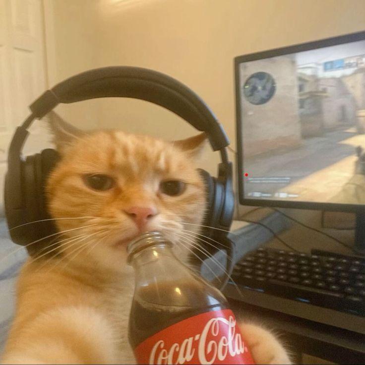 WeSliding avatar
