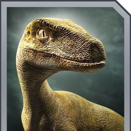 V3L0ciraptor avatar