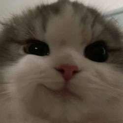 COCOS999