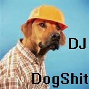 DogShiitt avatar